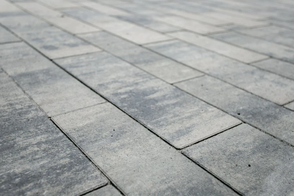 IMG_5563-min.jpg IMG_5563-min.jpg