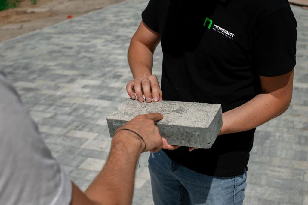 IMG_5806-min.jpg IMG_5806-min.jpg