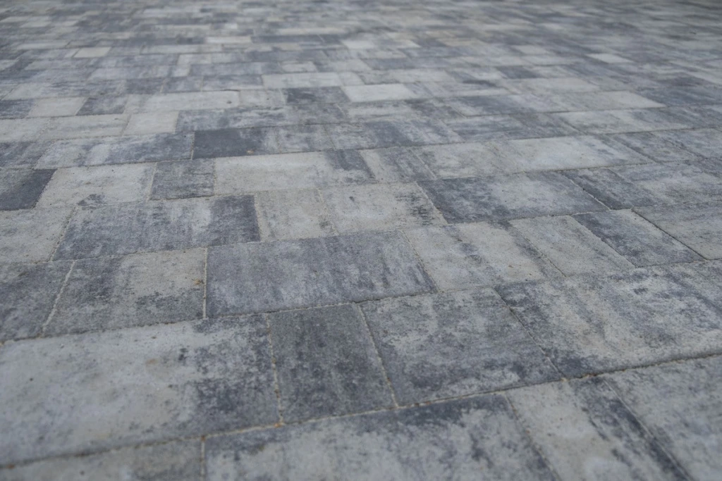 DSCF9862-min.jpg DSCF9862-min.jpg