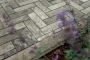 Купите паркет от производителя «Выбор»