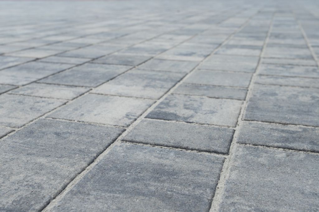 IMG_2999-min.jpg IMG_2999-min.jpg