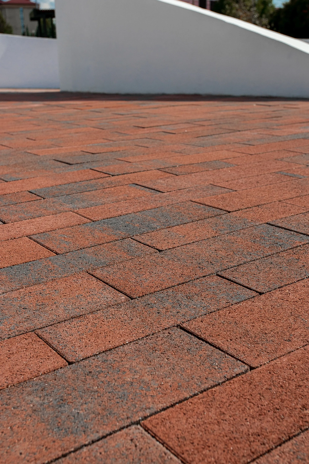 Сквер Медицинских работников в Тюмени