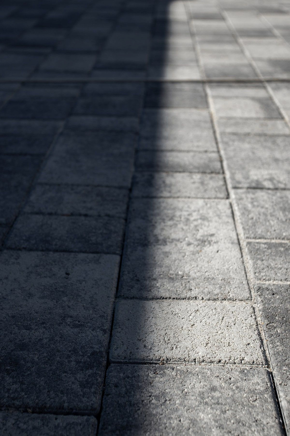 Благоустройство дома: плитка в цвете Антрацит и шаговые дорожки