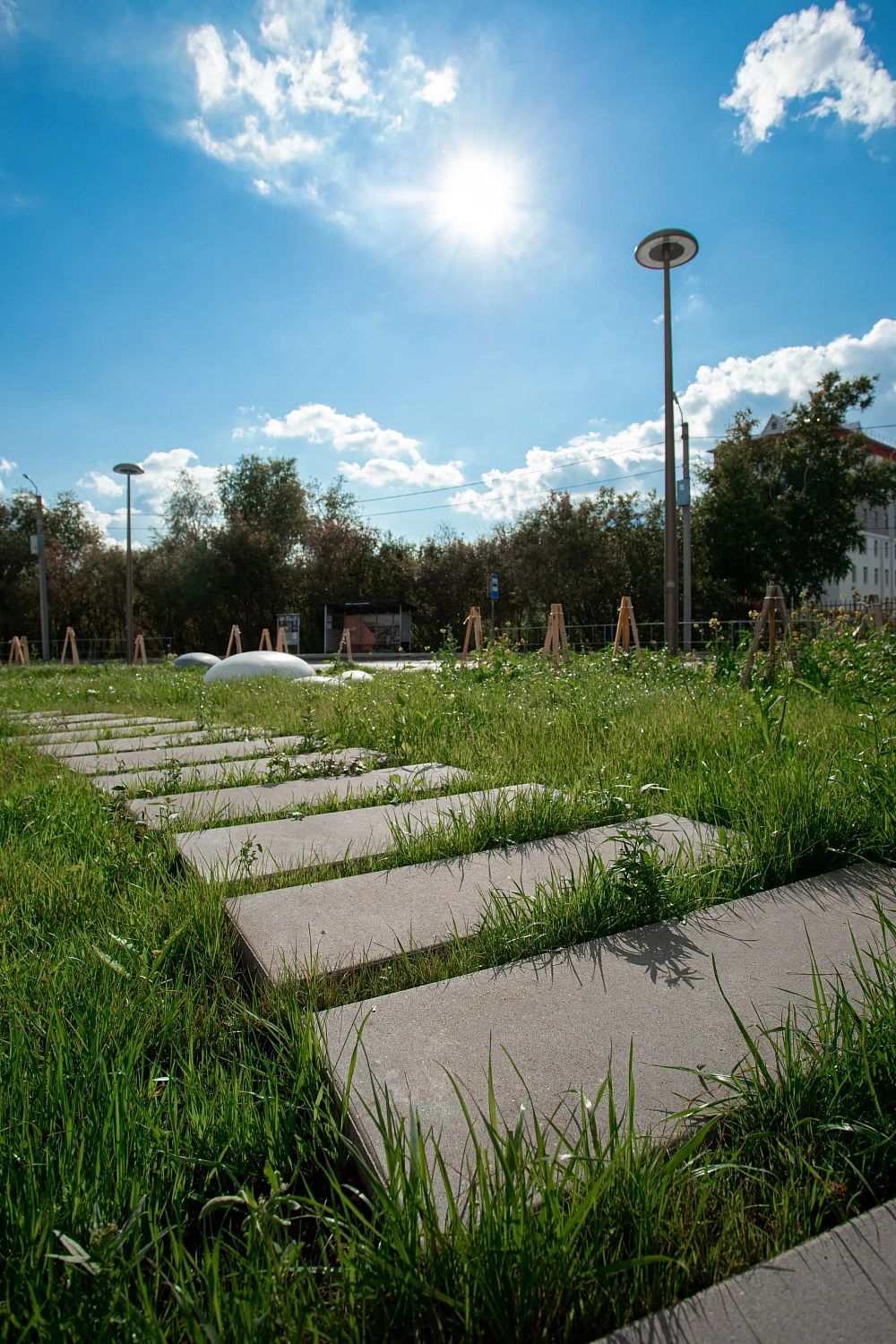 Сквер Медицинских работников в Тюмени