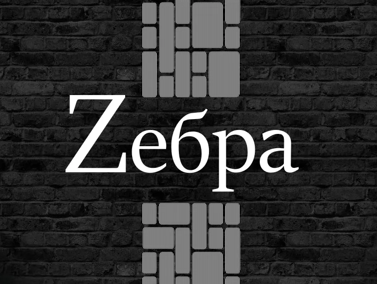 Зебра Зебра